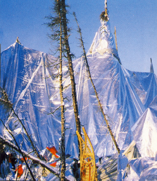 Picture of the envelope spiked on the trees
